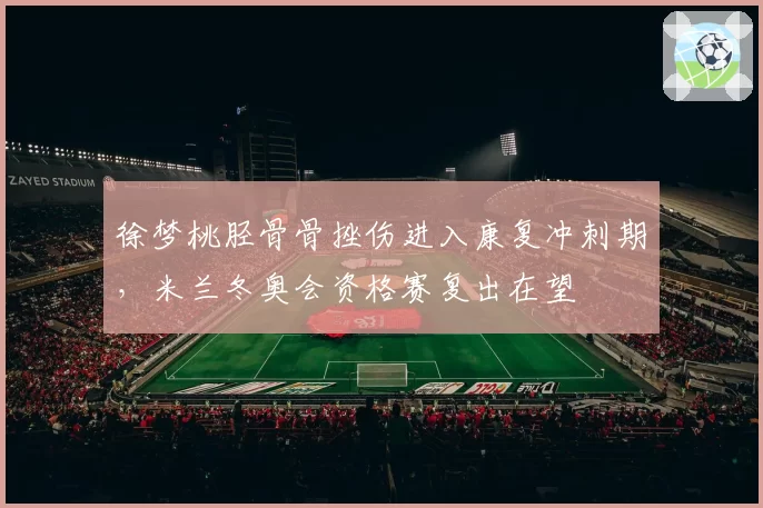 徐梦桃胫骨骨挫伤进入康复冲刺期，米兰冬奥会资格赛复出在望