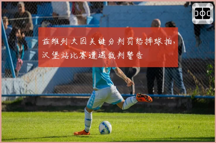兹维列夫因关键分判罚怒摔球拍,汉堡站比赛遭遇裁判警告