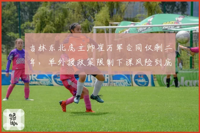 吉林东北虎主帅崔万军合同仅剩二年，单外援政策限制下课风险到底谁背锅？